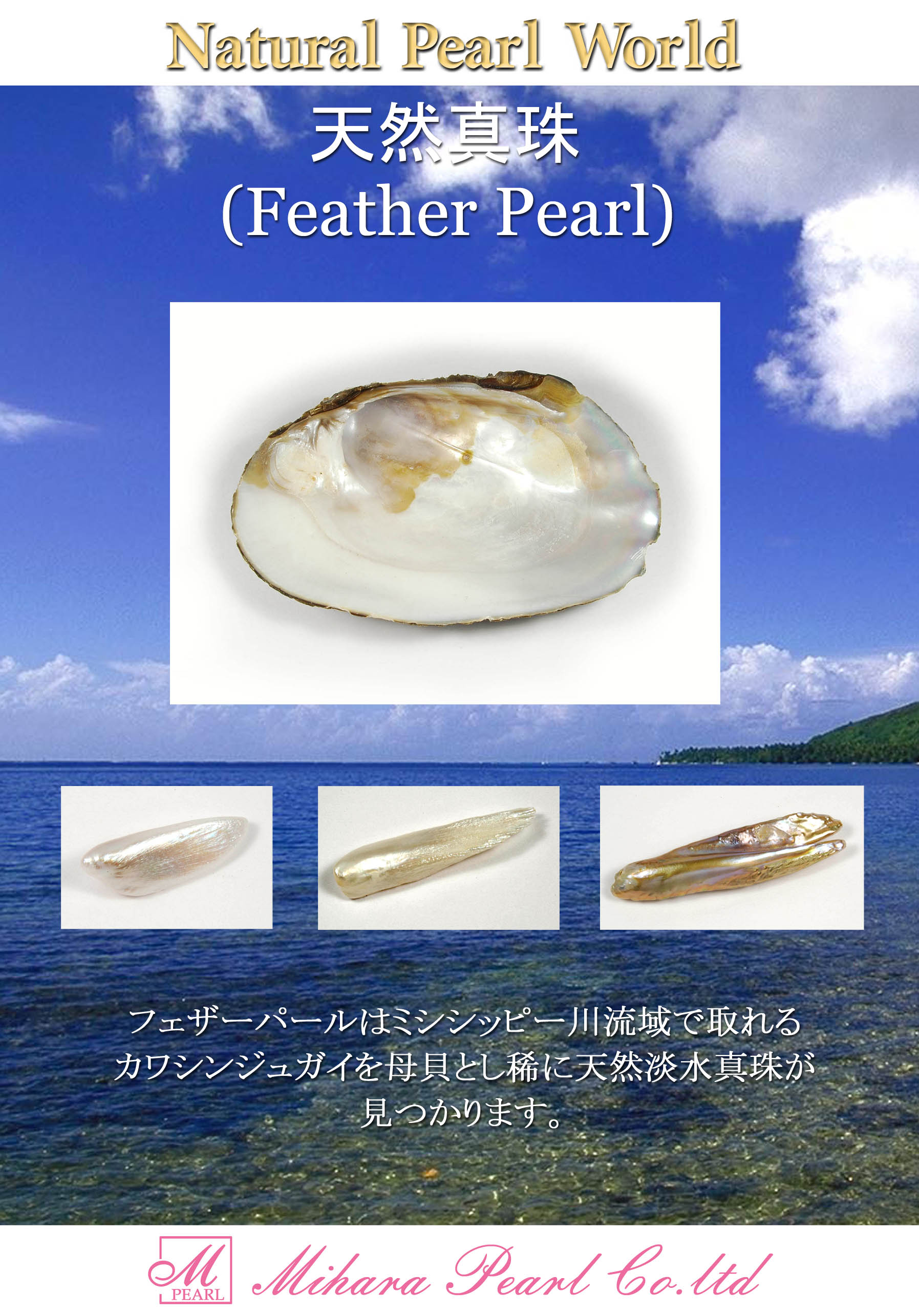 株式会社 三原真珠／natural pearl